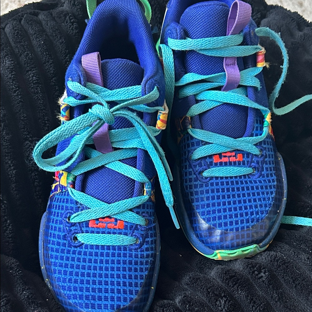 Nike Lebron Witness VII (Big Kid)
